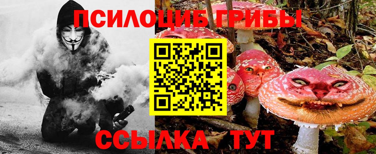 Псилоцибиновые грибы Psilocybine cubensis  Галлюциногенные грибы Magic Shrooms  Семёнов  Вход с VPN 